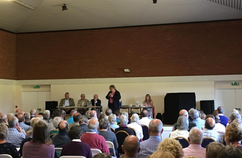 Therese's public meeting on the proposal