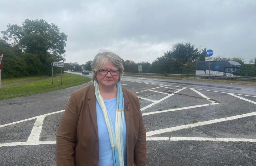 Therese on the side of the A12