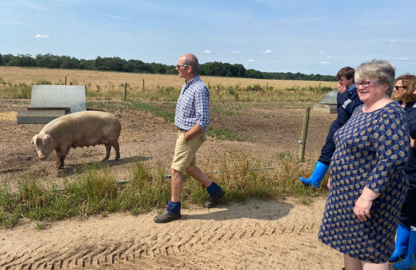 Friston Pig Farm Visit