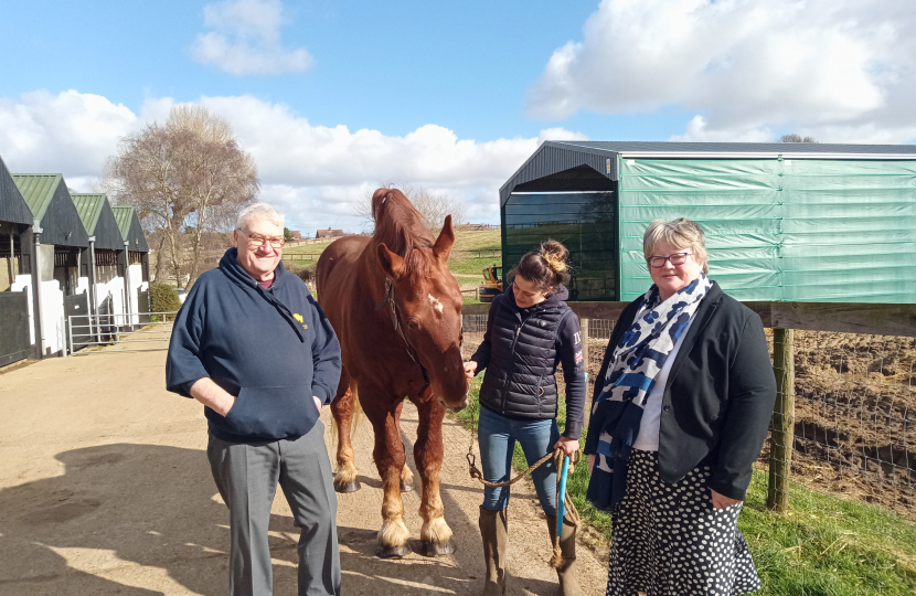 Suffolk Punch