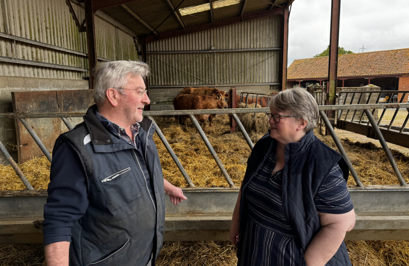 Therese Coffey with Farmer and his Cows
