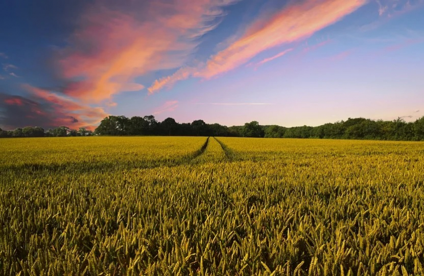 Farming