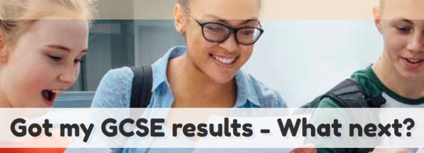 GCSE Results