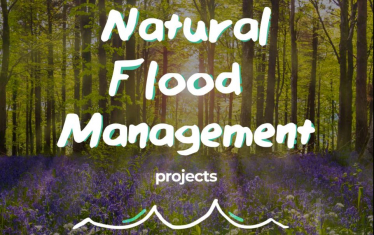 Natural Flood Management Projects Graphic